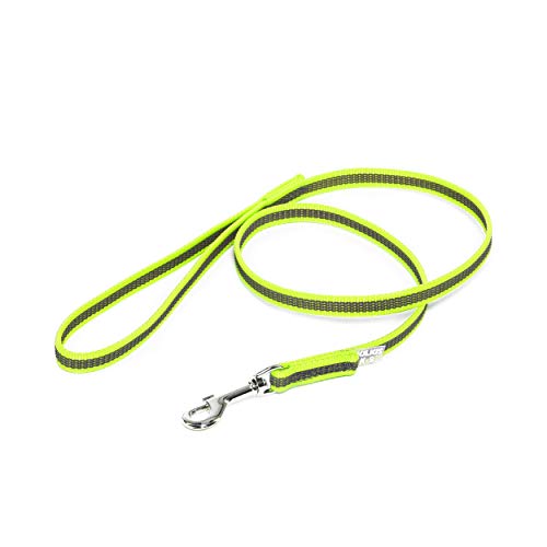 IDC Color & Gray gumierte Leine, 14 mm x 1 m mit Schlaufe, Neon-Grau IDC Color & Gray gumierte Leine, 14 mm x 1 m mit Schlaufe, Neon-Grau von JULIUS K-9