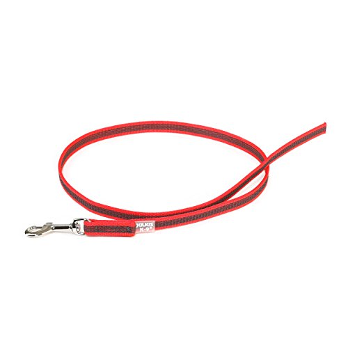 IDC Color & Gray gumierte Leine, 14 mm x 1 m ohne Schlaufe, Rot-Grau von JULIUS K-9