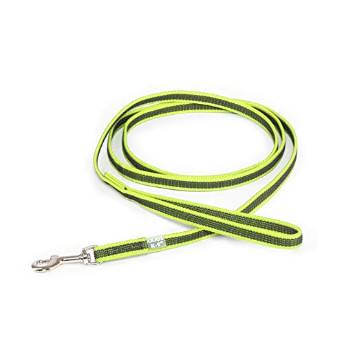 IDC Color & Gray gumierte Leine, 14 mm x 2 m mit Schlaufe, Neon-Grau IDC Color & Gray gumierte Leine, 14 mm x 2 m mit Schlaufe, Neon-Grau von JULIUS K-9