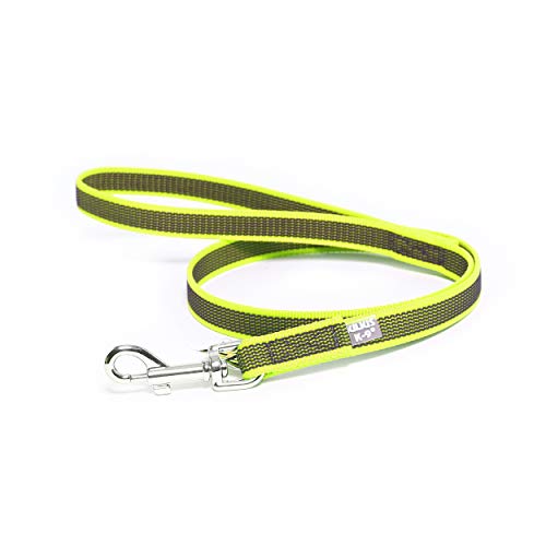 IDC Color & Gray gumierte Leine, 20 mm x 1 m mit Schlaufe, Neon-Grau IDC Color & Gray gumierte Leine, 20 mm x 1 m mit Schlaufe, Neon-Grau von JULIUS K-9