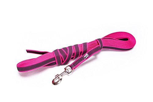 IDC Color & Gray gumierte Leine, 20 mm x 10 m ohne Schlaufe, Pink-Grau IDC Color & Gray gumierte Leine, 20 mm x 10 m ohne Schlaufe, Pink-Grau von JULIUS K-9