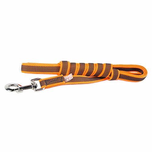 IDC Color & Gray gumierte Leine, 20 mm x 3 m mit Schlaufe, Orange-Grau von JULIUS K-9