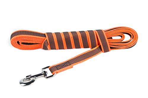 IDC Color & Gray gumierte Leine, 20 mm x 5 m mit Schlaufe, Orange-Grau IDC Color & Gray gumierte Leine, 20 mm x 5 m mit Schlaufe, Orange-Grau von JULIUS K-9