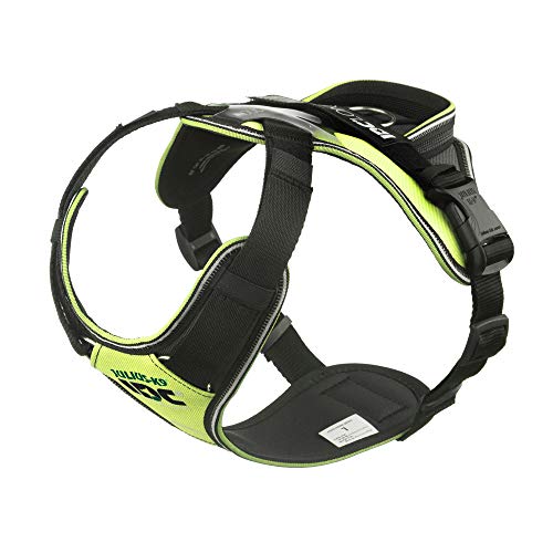 IDC Longwalk Geschirr, Neon-Grau, Größe: L IDC Longwalk Geschirr, Neon-Grau, Größe: L von JULIUS K-9
