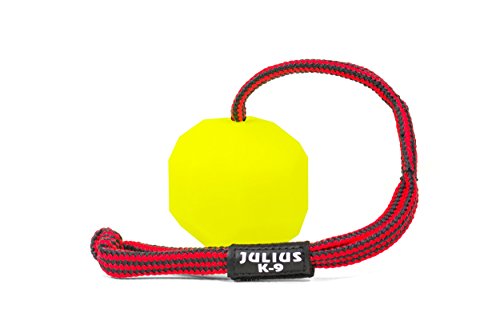 IDC Neon fluoreszierender Ball mit Schnur, 60 mm, Gelb (Hart) IDC Neon fluoreszierender Ball mit Schnur, 60 mm, Gelb (Hart) von JULIUS K-9