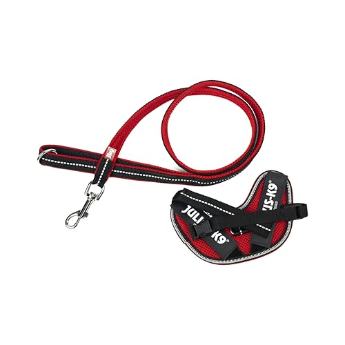 IDC Powair Bundle - IDC Powair Hundegeschirr, Größe: 2XS/Baby 2, Rot + IDC Powairleine, Größe: 1,2 m mit Schlaufe und mit kleinen Karabiner, Rot von JULIUS K-9