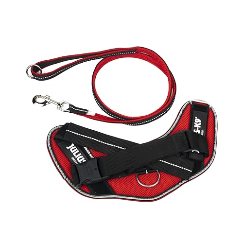 IDC Powair Bundle - IDC Powair Hundegeschirr, Größe: M/0, Rot + IDC Powairleine, Größe: 1,2 m mit Schlaufe und mit großen Karabiner, Rot IDC Powair Bundle - IDC Powair Hundegeschirr, Größe: M/0, Rot + IDC Powairleine, Größe: 1,2 m mit Schlaufe und mit großen Karabiner, Rot von JULIUS K-9