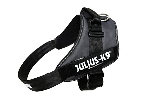 Julius-K9, IDC Powergeschirr, Größe: 3XL / 4, Anthrazit Julius-K9, IDC Powergeschirr, Größe: 3XL / 4, Anthrazit von JULIUS K-9