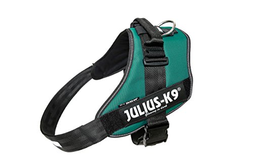 Julius-K9, IDC Powergeschirr, Größe: 3XL / 4, Dunkelgrün Julius-K9, IDC Powergeschirr, Größe: 3XL / 4, Dunkelgrün von JULIUS K-9