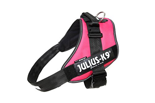 Julius-K9, IDC Powergeschirr, Größe: 3XL / 4, Dunkelpink Julius-K9, IDC Powergeschirr, Größe: 3XL / 4, Dunkelpink von JULIUS K-9