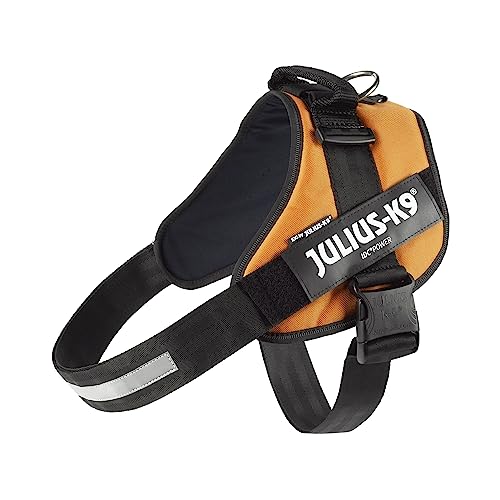 Julius-K9, IDC Powergeschirr, Größe: 3XL / 4, Kupferorange Julius-K9, IDC Powergeschirr, Größe: 3XL / 4, Kupferorange von JULIUS K-9