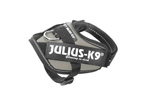 Julius K9 16IDC-SIL-B1 IDC-Powergeschirr mit Logofeld, Baby 1, silver von JULIUS K-9