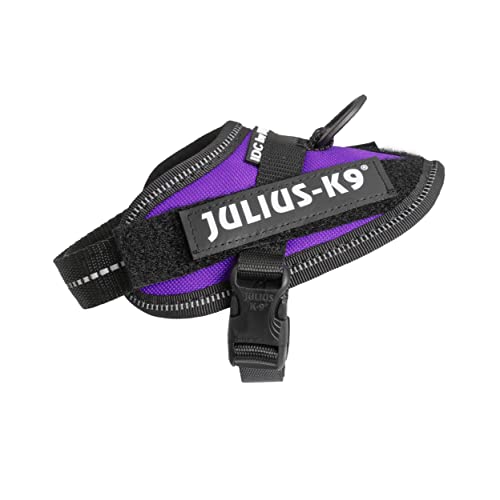 Julius-K9, IDC Powergeschirr, Größe: 3XS/Baby 1, Dunkelviolett Julius-K9, IDC Powergeschirr, Größe: 3XS/Baby 1, Dunkelviolett von JULIUS K-9