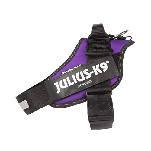 Julius-K9, IDC Powergeschirr, Größe: L/1, Dunkelviolett Julius-K9, IDC Powergeschirr, Größe: L/1, Dunkelviolett von JULIUS K-9