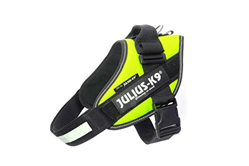JULIUS K-9 IDC Powergeschirr, Größe: M / 0, Neon Grün, 16IDC-NE-0 JULIUS K-9 IDC Powergeschirr, Größe: M / 0, Neon Grün, 16IDC-NE-0 von JULIUS K-9