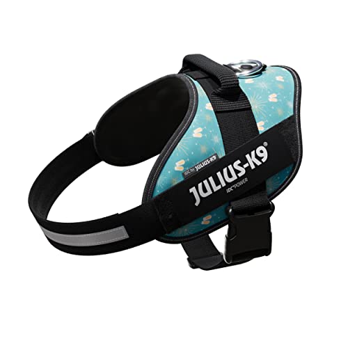 IDC Powergeschirr, Größe: XL/2, Champagne - Limited Edition IDC Powergeschirr, Größe: XL/2, Champagne - Limited Edition von JULIUS K-9