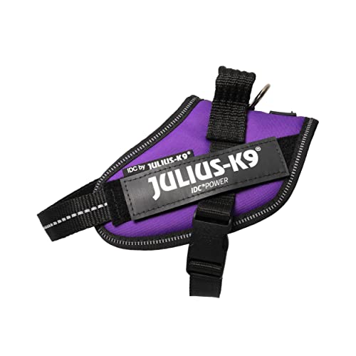 IDC Powergeschirr, Größe: XS/Mini-Mini, Dunkelviolett IDC Powergeschirr, Größe: XS/Mini-Mini, Dunkelviolett von JULIUS K-9