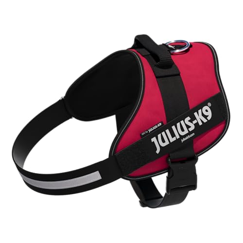 IDC Powergeschirr, Size: 3XL/4, Viva Magenta IDC Powergeschirr, Size: 3XL/4, Viva Magenta von JULIUS K-9