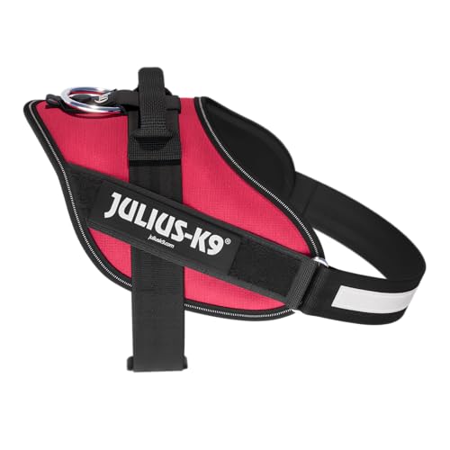 IDC Powergeschirr, Size: M/0, Viva Magenta IDC Powergeschirr, Size: M/0, Viva Magenta von JULIUS K-9