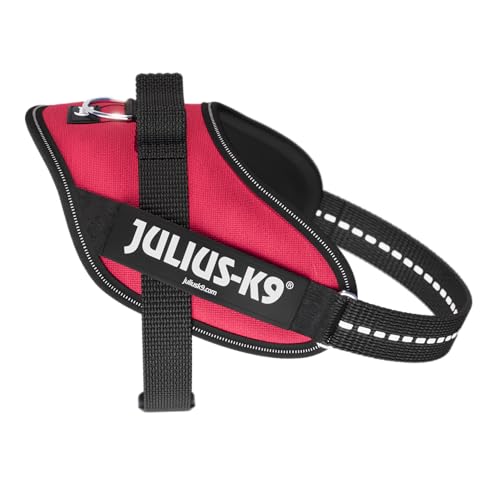 IDC Powergeschirr, Size: S/Mini, Viva Magenta IDC Powergeschirr, Size: S/Mini, Viva Magenta von JULIUS K-9