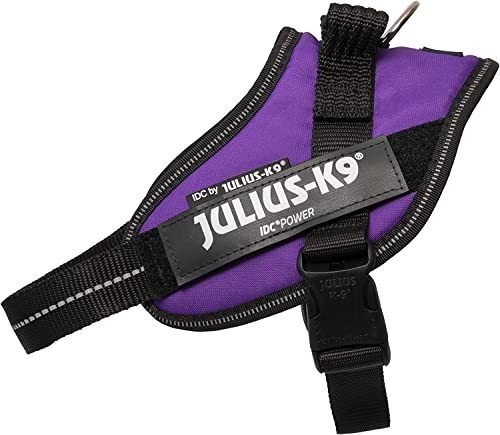 Julius-K9, IDC Powergeschirr, Größe: 2XS/Baby 2, Dunkelviolett Julius-K9, IDC Powergeschirr, Größe: 2XS/Baby 2, Dunkelviolett von JULIUS K-9