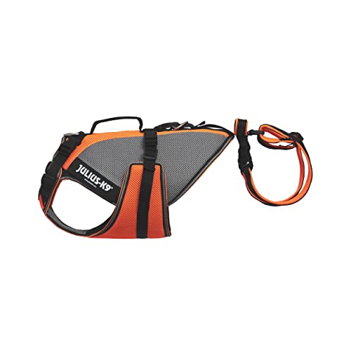 Julius-K9, Multivest, Größe: S, UV Orange Julius-K9, Multivest, Größe: S, UV Orange von JULIUS K-9