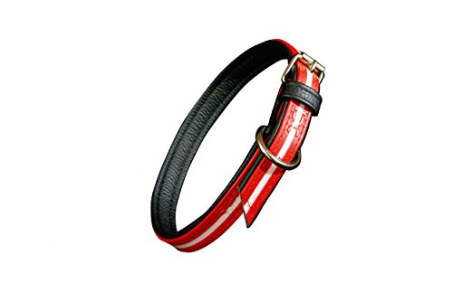 JULIUS K-9, 214HB-L-R-70, IDC Lumino Halsband phosphoreszierend, 25mm x 70 cm, rot von JULIUS K-9