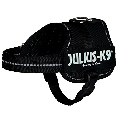 K9 Powergeschirr, Größe: 2XS/Baby 2, Schwarz K9 Powergeschirr, Größe: 2XS/Baby 2, Schwarz von JULIUS K-9