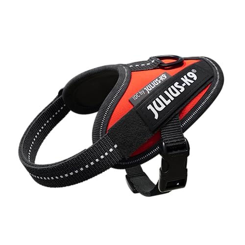 JULIUS K-9 IDC Powergeschirr, Größe: 3XS / Baby 1, Rot, 16IDC-R-B1 JULIUS K-9 IDC Powergeschirr, Größe: 3XS / Baby 1, Rot, 16IDC-R-B1 von JULIUS K-9
