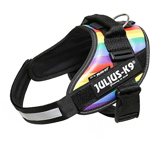 JULIUS K-9 IDC Powergeschirr, Größe: L / 1, Regenbogen (Kunstleder), 16IDC-JRBW-1 von JULIUS K-9