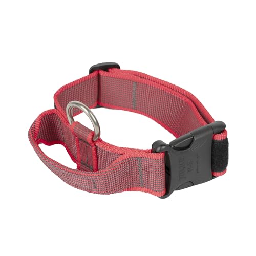 JULIUS-K9, 100HA-K-R-2015 Color & Gray K9-Halsband mit Haltegriff, Sicherheitsverschluss und Logo, 40 mm*38-53 cm, verstellbar, rot-grau JULIUS-K9, 100HA-K-R-2015 Color & Gray K9-Halsband mit Haltegriff, Sicherheitsverschluss und Logo, 40 mm*38-53 cm, verstellbar, rot-grau von JULIUS K-9