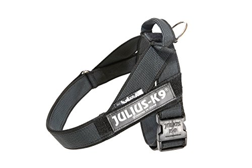 JULIUS K-9, Color & Gray, Beltgeschirr, L / 1 JULIUS K-9, Color & Gray, Beltgeschirr, L / 1 von JULIUS K-9
