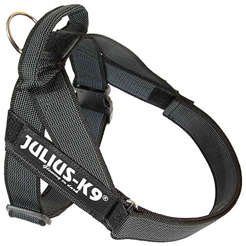 Julius-K9, Color & Gray, Beltgeschirr Julius-K9, Color & Gray, Beltgeschirr von JULIUS K-9