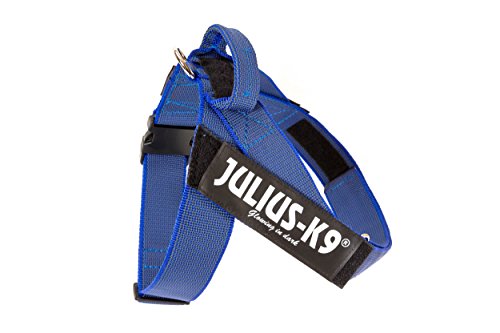 Julius-K9, Color & Gray, Beltgeschirr Julius-K9, Color & Gray, Beltgeschirr von JULIUS K-9