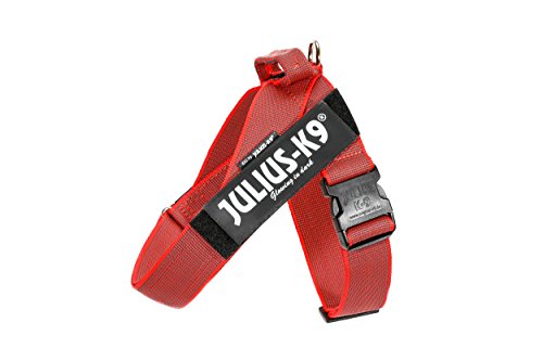 Julius-K9, Color & Gray, Beltgeschirr Julius-K9, Color & Gray, Beltgeschirr von JULIUS K-9