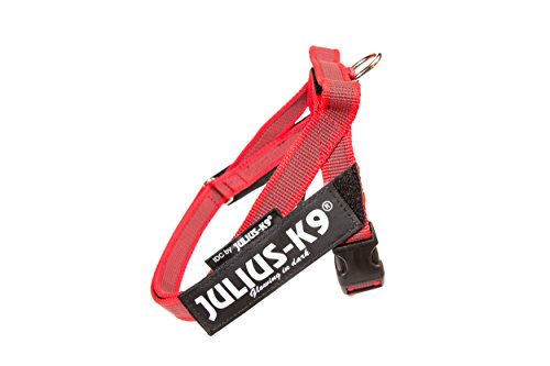 JULIUS-K9, 16IDC-M-R-2015, Color&Gray IDC-Gurtbandgeschirr, Größe Mini, rot-grau von JULIUS K-9