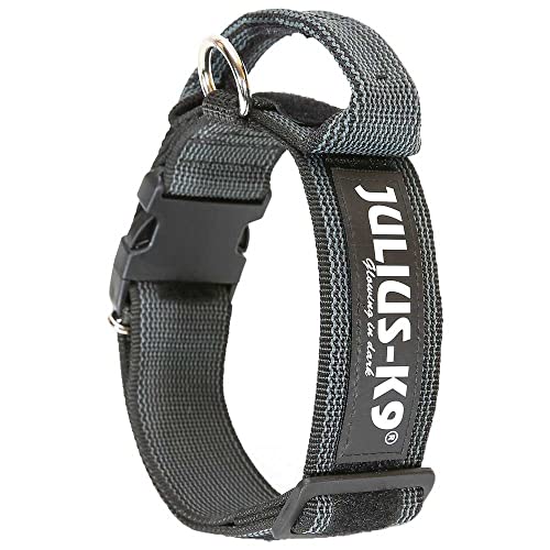 JULIUS K-9, 200HA-K-2015 Color und Gray series-K9-Halsband mit Haltegriff, Sicherheitsverschluss und Logo und Sicherheitsverschluss, 50 mm x 49-70 cm, verstellbar, schwarz-grau JULIUS K-9, 200HA-K-2015 Color und Gray series-K9-Halsband mit Haltegriff, Sicherheitsverschluss und Logo und Sicherheitsverschluss, 50 mm x 49-70 cm, verstellbar, schwarz-grau von JULIUS K-9