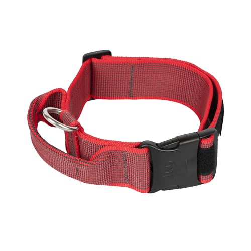 JULIUS-K9, 200HA-K-R-2015 Color & Gray series- K9-Halsband mit Haltegriff, Sicherheitsverschluss und Logo und Sicherheitsverschluss, 50 mm*49-70 cm, verstellbar, rot-grau JULIUS-K9, 200HA-K-R-2015 Color & Gray series- K9-Halsband mit Haltegriff, Sicherheitsverschluss und Logo und Sicherheitsverschluss, 50 mm*49-70 cm, verstellbar, rot-grau von JULIUS K-9