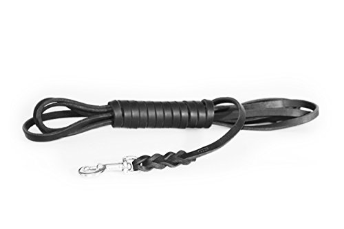 Julius-K9, 10500-GF, Hundeleine aus Fettleder, 10mm x 5m, ohne Schlaufe, Stahlkarabiner, geflochten Julius-K9, 10500-GF, Hundeleine aus Fettleder, 10mm x 5m, ohne Schlaufe, Stahlkarabiner, geflochten von JULIUS K-9