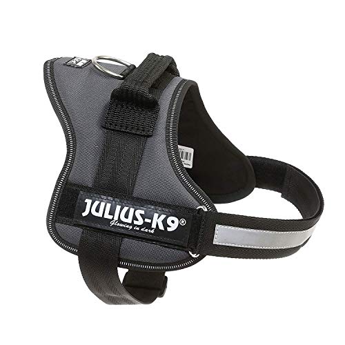 K9 Powergeschirr, Größe: M/0, Anthrazit K9 Powergeschirr, Größe: M/0, Anthrazit von JULIUS K-9