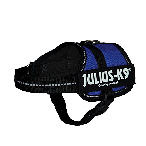 K9 Powergeschirr, Größe: XS/Mini-Mini, Blau von JULIUS K-9
