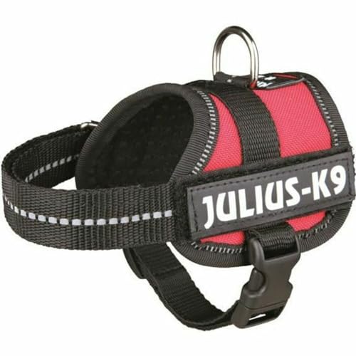 K9 Powergeschirr, Größe: 3XS/Baby 1, Rot K9 Powergeschirr, Größe: 3XS/Baby 1, Rot von JULIUS K-9