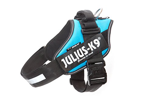 JULIUS K-9 IDC Powergeschirr, Größe: XL / 2, Aquamarine, 16IDC-AM-2 JULIUS K-9 IDC Powergeschirr, Größe: XL / 2, Aquamarine, 16IDC-AM-2 von JULIUS K-9
