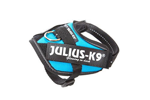 Julius-K9, IDC Powergeschirr, Größe: 3XS / Baby 1, Aquamarine von JULIUS K-9