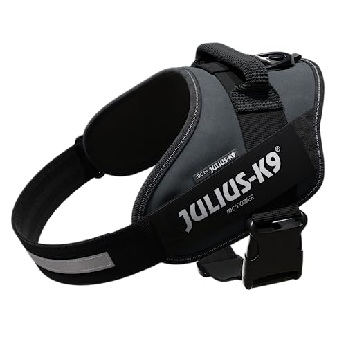 Julius-K9, IDC Powergeschirr, Größe: L / 1, Anthrazit Julius-K9, IDC Powergeschirr, Größe: L / 1, Anthrazit von JULIUS K-9