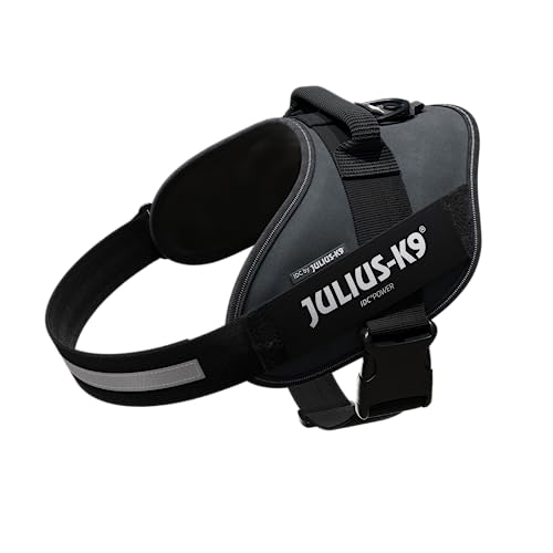 Julius-K9, IDC Powergeschirr, Größe: XL/2, Anthrazit Julius-K9, IDC Powergeschirr, Größe: XL/2, Anthrazit von JULIUS K-9