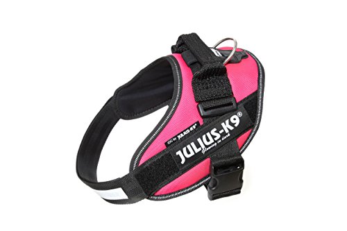 Julius-K9, IDC Powergeschirr, Größe: M / 0, Dunkelpink Julius-K9, IDC Powergeschirr, Größe: M / 0, Dunkelpink von JULIUS K-9