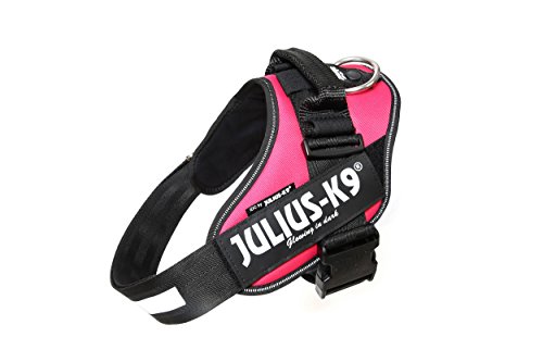 Julius-K9, IDC Powergeschirr, Größe: L / 1, Dunkelpink Julius-K9, IDC Powergeschirr, Größe: L / 1, Dunkelpink von JULIUS K-9