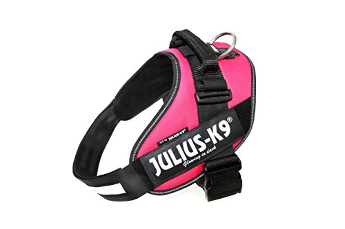Julius-K9, IDC Powergeschirr, Größe: XL / 2, Dunkelpink Julius-K9, IDC Powergeschirr, Größe: XL / 2, Dunkelpink von JULIUS K-9