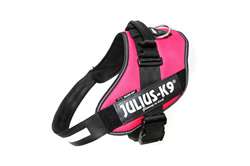 Julius-K9, IDC Powergeschirr, Größe: 2XL / 3, Dunkelpink Julius-K9, IDC Powergeschirr, Größe: 2XL / 3, Dunkelpink von JULIUS K-9